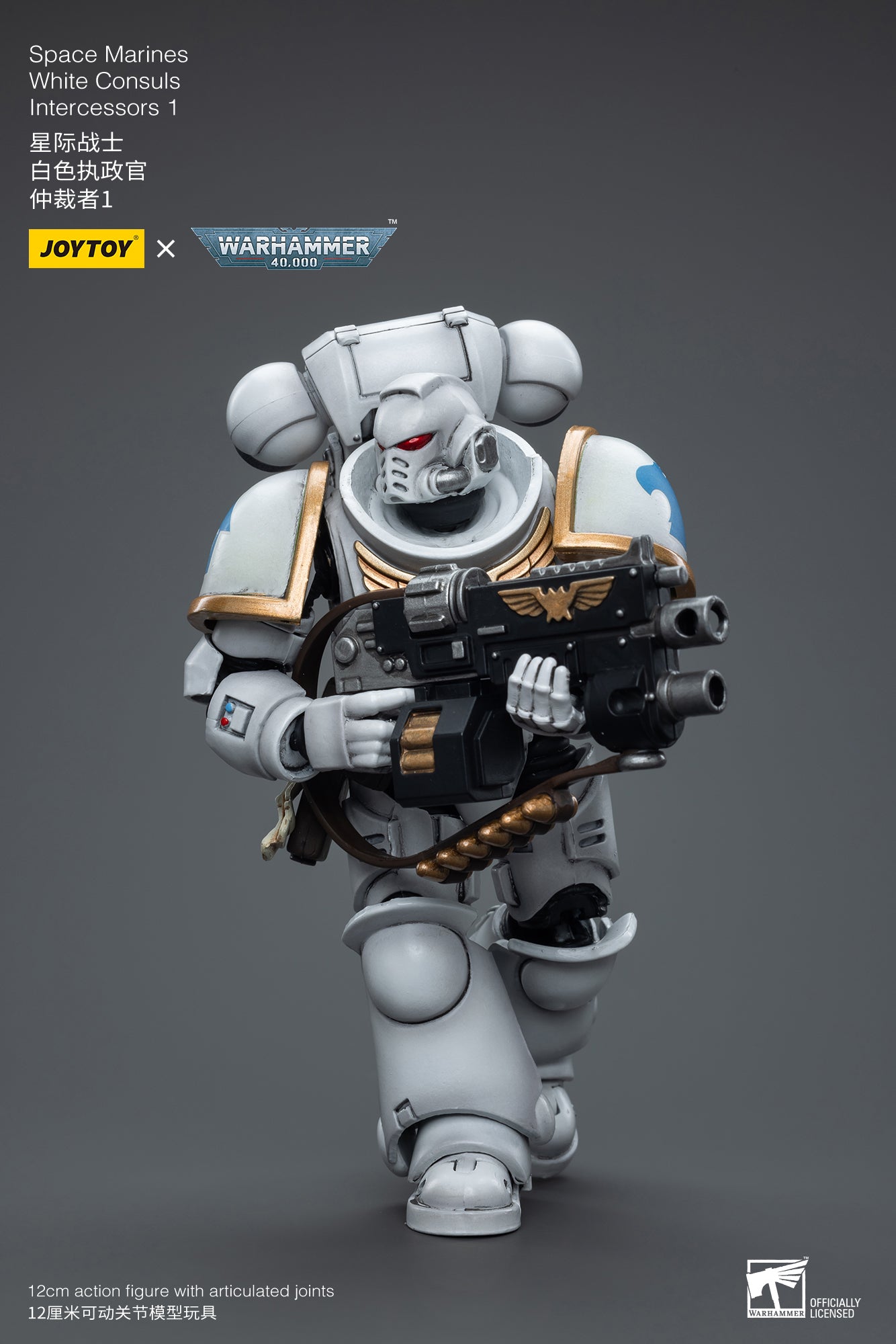 1/18 JOYTOY Warhammer 40K Space Marines White Consuls Intercessors Action Figure - Collectible Miniature for Tabletop Gaming & Display