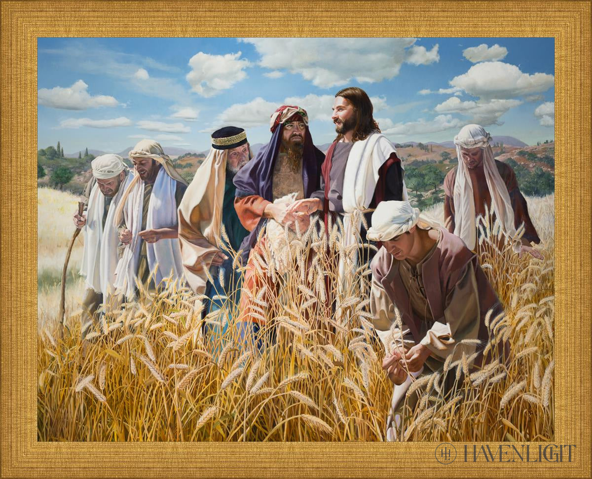 Lord of the Sabbath - Premium Christian Apparel & Religious T-Shirts for Worship Services, Bible Study, and Church Events