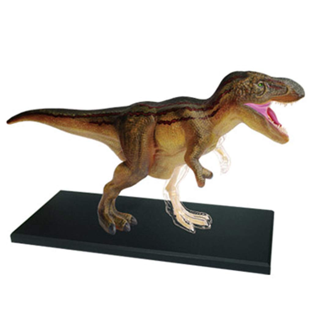 Realistic Hand-Painted Tyrannosaurus Rex Anatomy Model - 3D Puzzle Assembling Toy for Medical Education & Science Learning - Perfect for Classrooms, Homeschooling & Dinosaur Enthusiasts