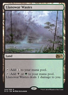 Magic The Gathering Llanowar Wastes (244/269) Foil Card - MTG 2015 Core Set - Perfect for Commander & Modern Decks - Collectible Trading Card Game Accessory