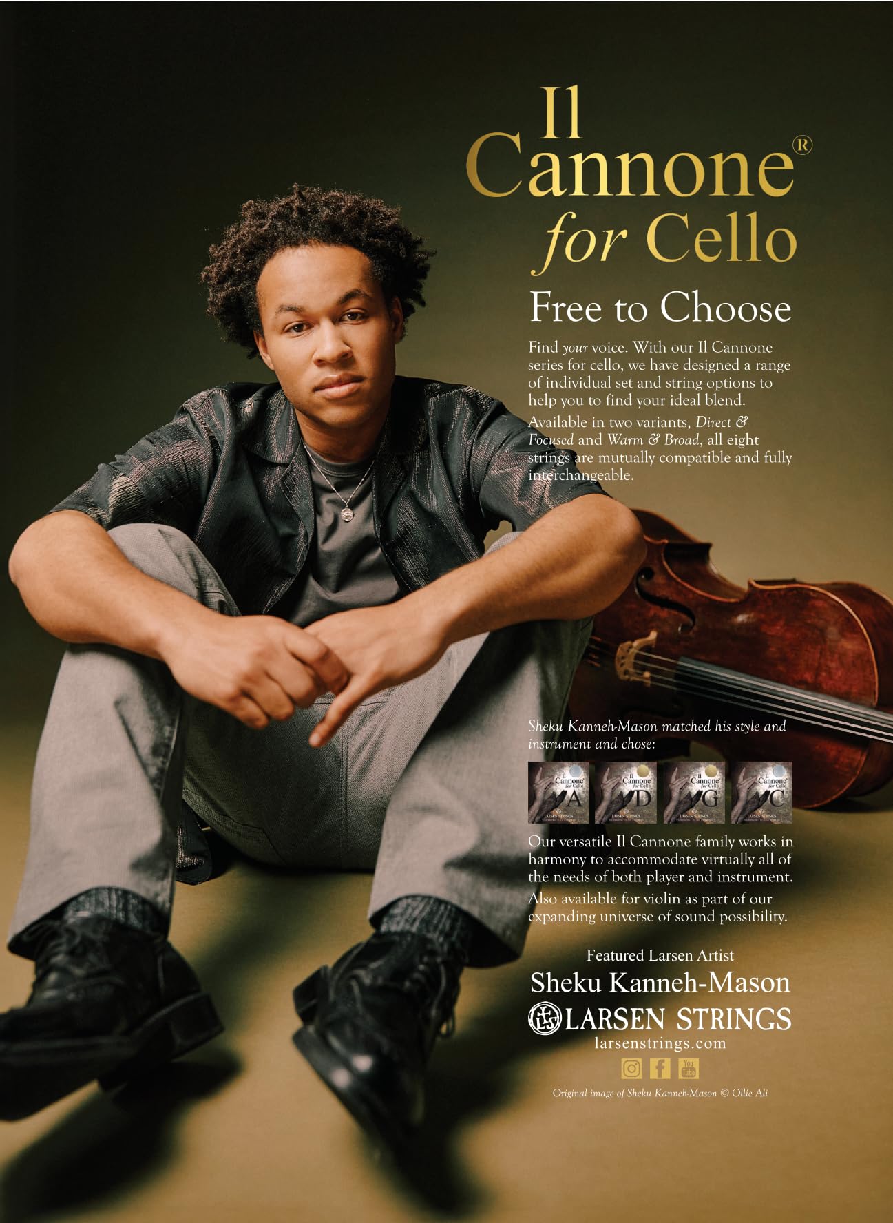 Premium LARSEN STRINGS Il Cannone Cello Strings - Warm & Broad Steel Core for Professional Cellists | Perfect for Solo Performances & Orchestral Playing
