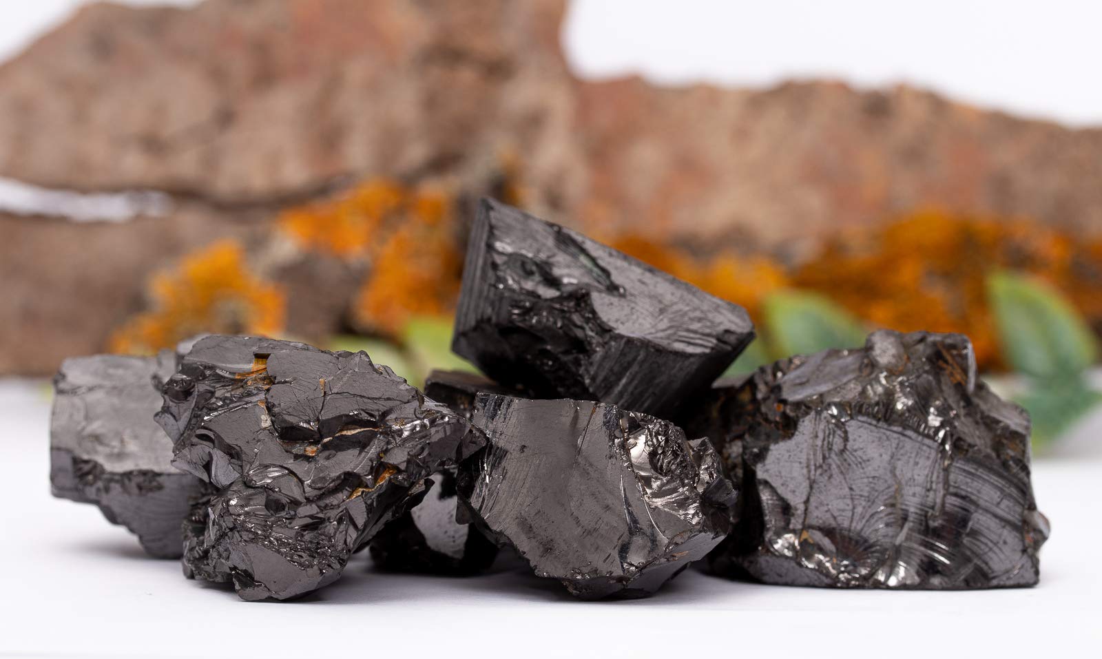 Natural Raw Elite Noble Shungite Stones - 1/2 lb Extra Large for Water Purification & Healing | EMF Protection, Home Wellness & Spiritual Cleansing