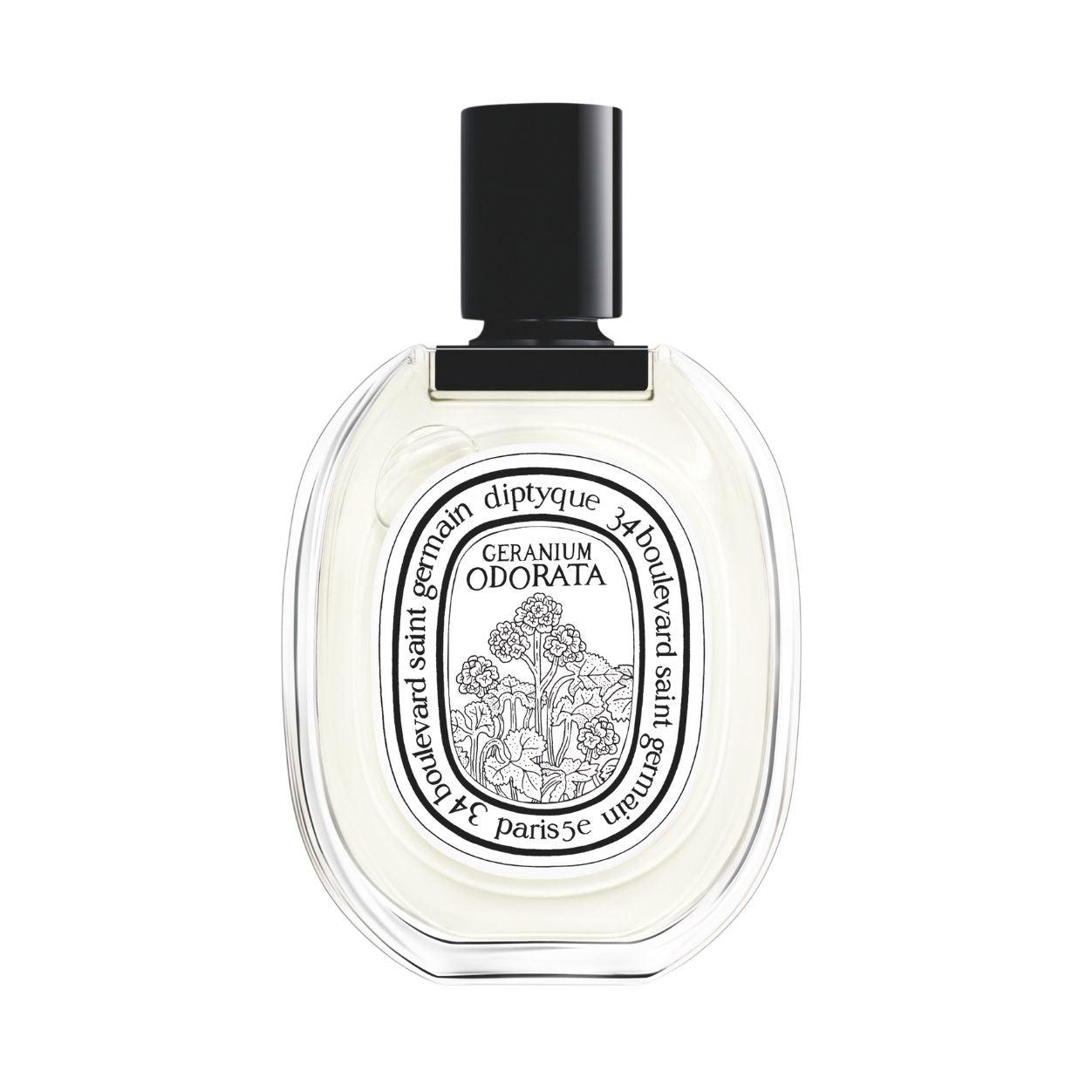 Geranium Odorata Eau De Toilette - Floral Perfume for Women, Long-Lasting Fragrance | Perfect for Daily Wear, Office & Special Occasions