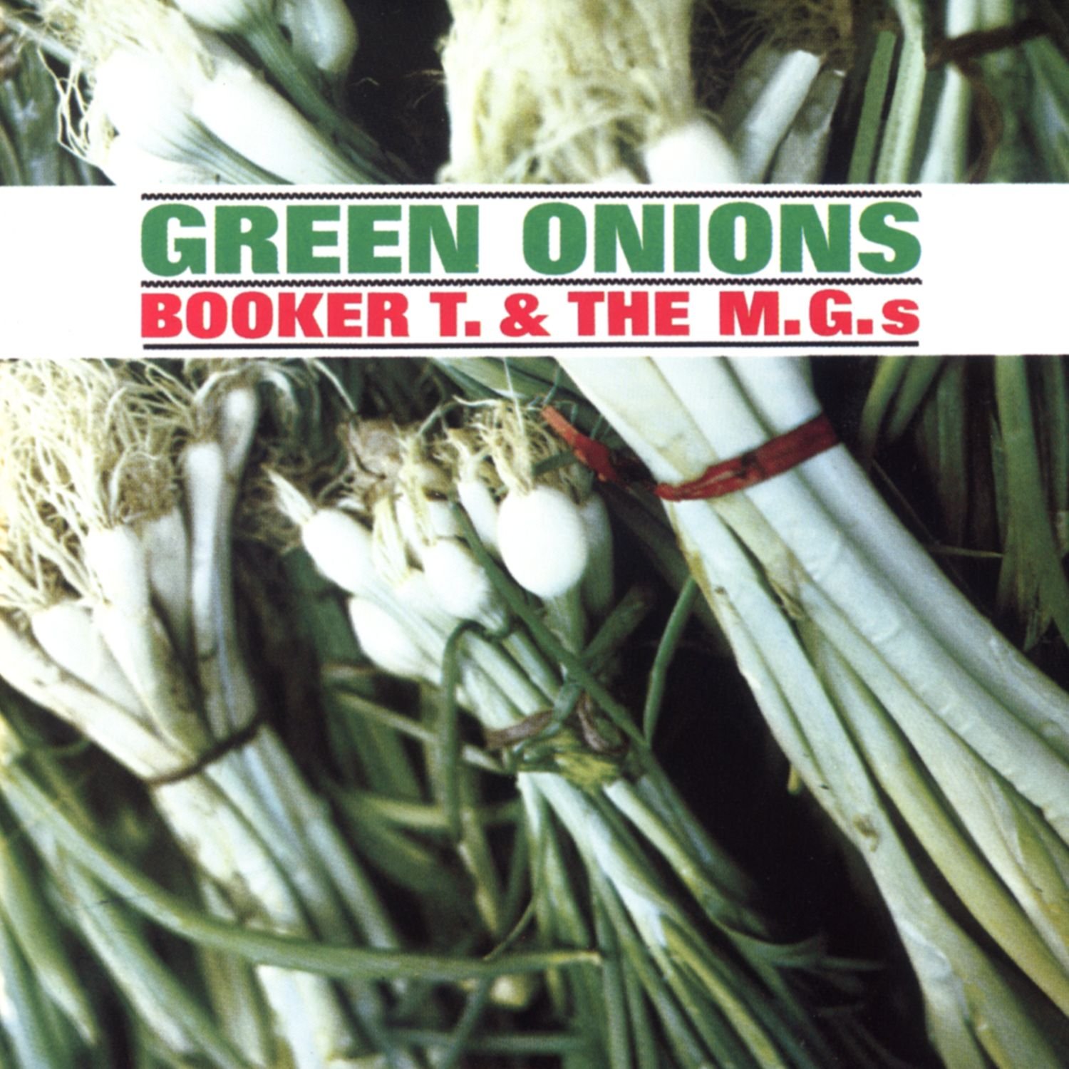 Fresh Green Onions - Organic Scallions for Cooking, Salads & Garnishing - Perfect for Soups, Stir-Fries & Healthy Recipes