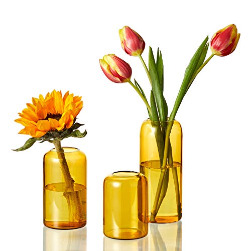 Medium Amber