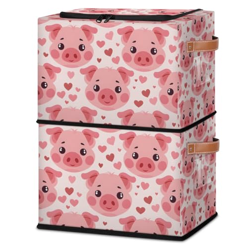 Pig Cute Piggy