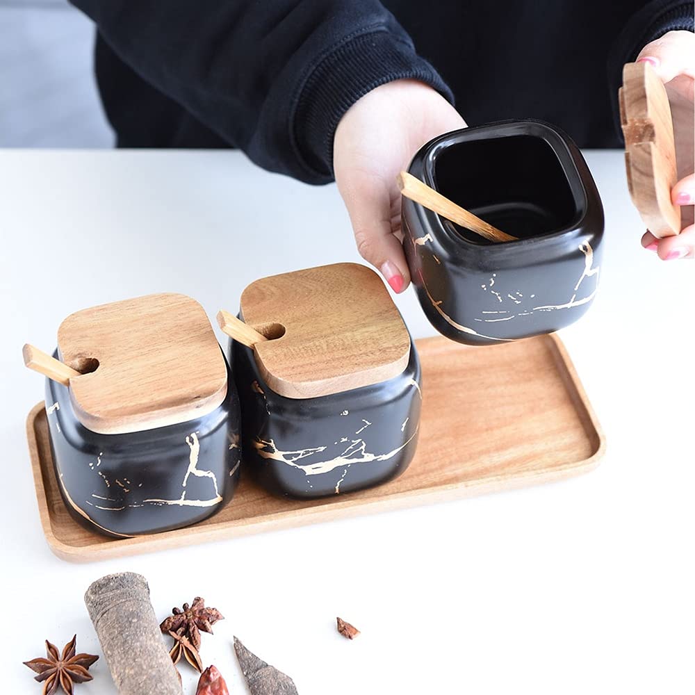 Premium Ceramic Salt and Spice Jar Set - 4-Piece Kitchen Seasoning Containers with Lids & Spoons - Elegant Storage for Salt, Pepper, Herbs - Perfect for Cooking, Baking & Dining Table Decor