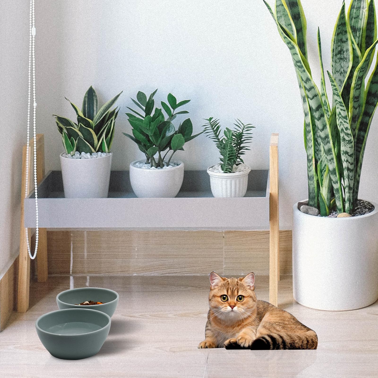 2 in 1 Elevated Cat Bowl with Slow Feeder - Anti Vomiting Detachable Pet Food & Water Dish - Raised Cat Feeder for Indoor Cats (Grey) - Perfect for Digestion & Mess-Free Feeding