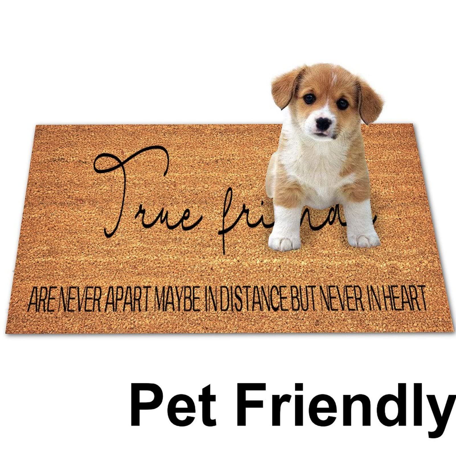 Natural Coir Doormat - Weather Resistant, Durable Outdoor Welcome Mat for Porch & Entrance - Inspirational 'True Friends' Quote - Perfect for Home, Garden, and Patio Decor