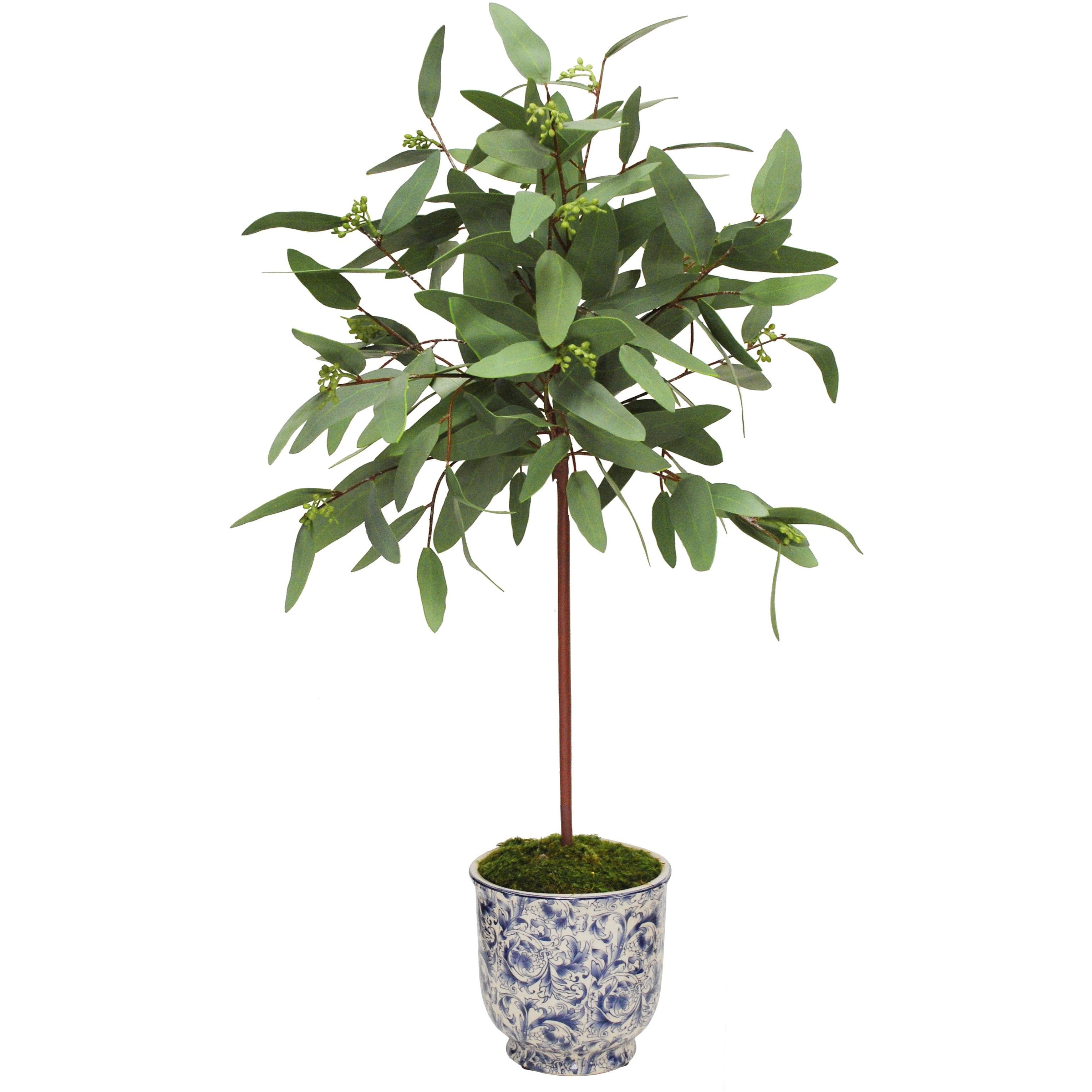 Long Eucalyptus in Cachepot - Elegant Indoor Plant for Home Decor, Office, and Wedding Centerpieces | Perfect for Aromatherapy and Rustic Style Spaces