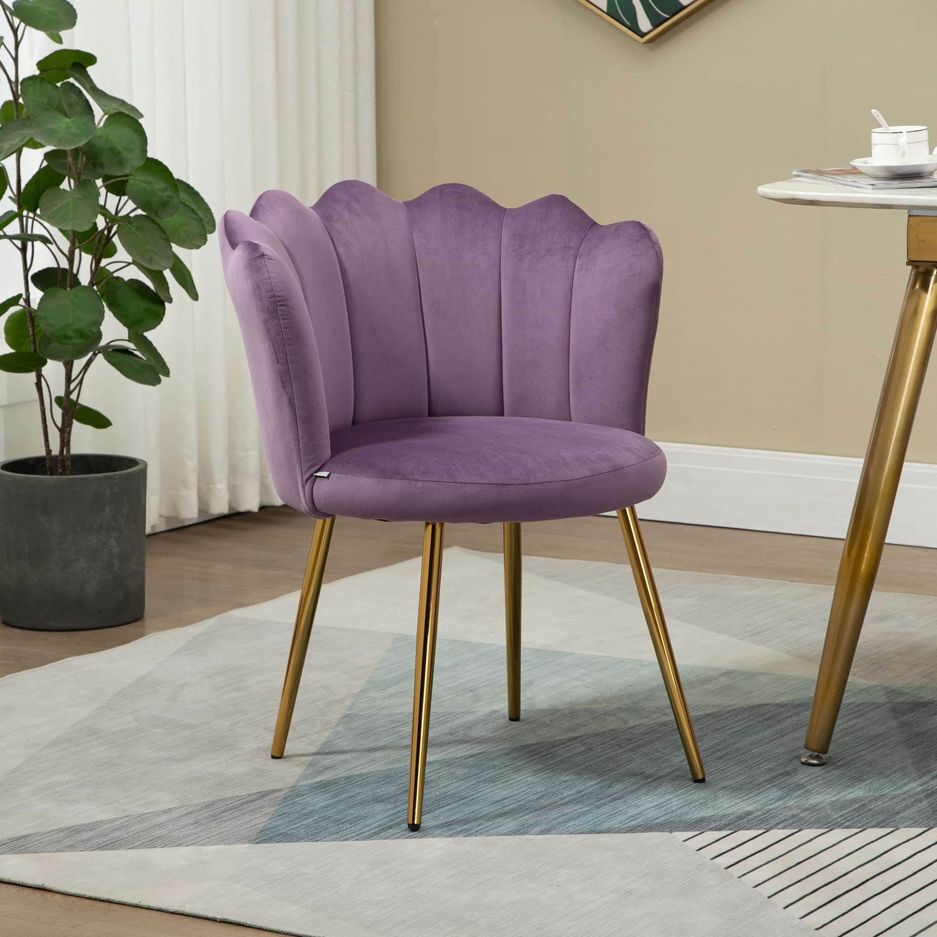 Yoluckea Velvet Accent Chair - Modern Upholstered Living Room Lounge Chair with Gold Metal Legs, Bedroom Vanity Makeup Chair for Dresser | Perfect for Home Decor, Reading Nook & Beauty Station