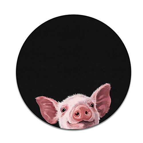 Baby Pig