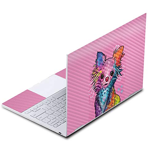 Chihuahua Rainbow