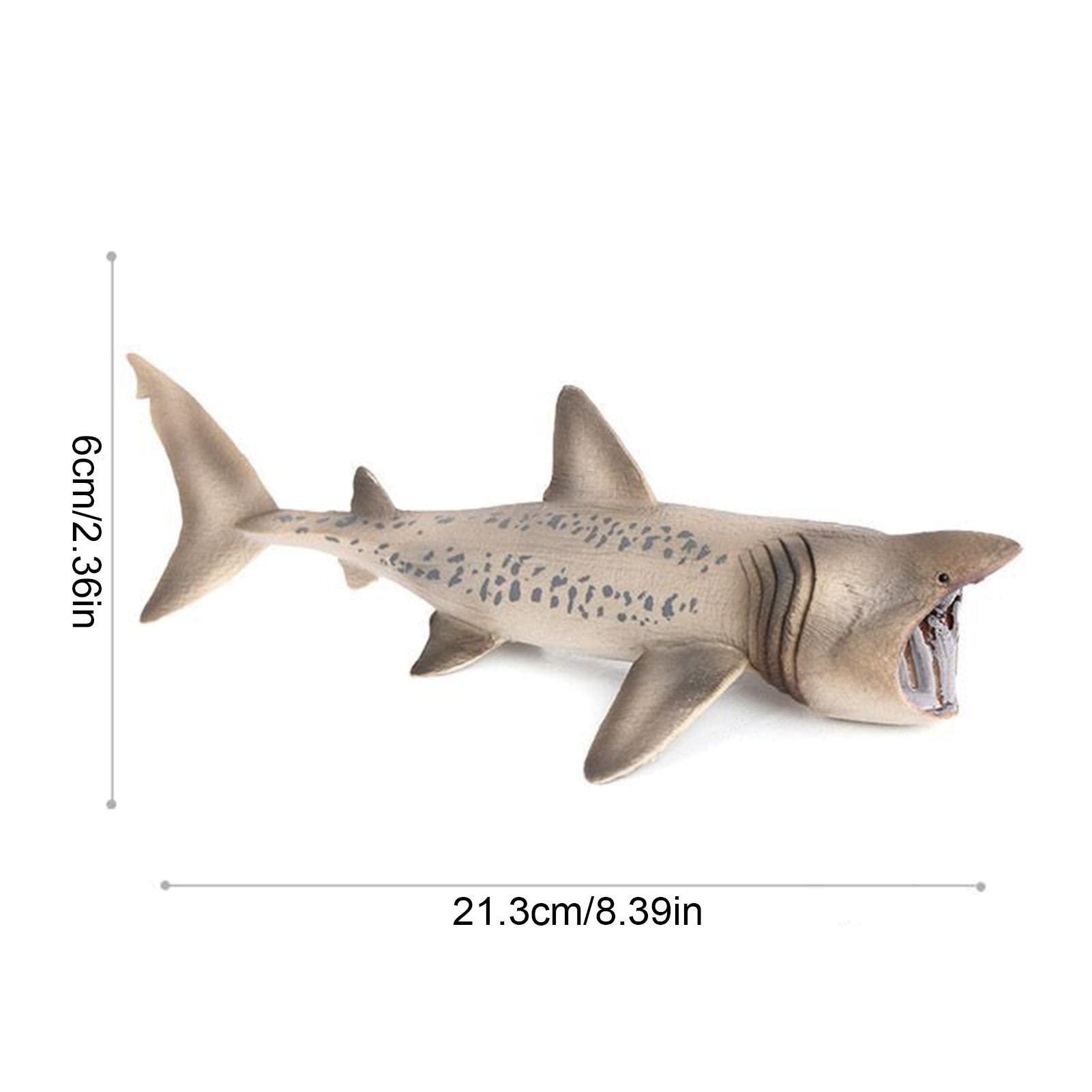 Realistic Shark Toy Figures - Basking Shark Sea Animal Bath Toys for Kids | Educational Ocean Creature Figurines for Boys & Girls | Perfect for Bath Time Play, Classroom Learning & Marine Life Collections