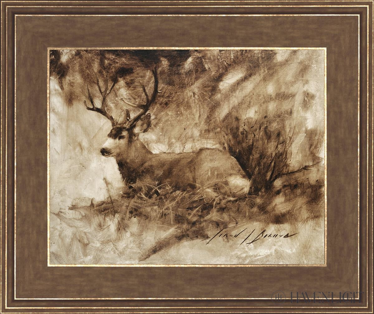 Bedded Buck By Jared Barnes - Premium Hunting & Outdoor Gear for Camping, Hiking & Adventure Enthusiasts