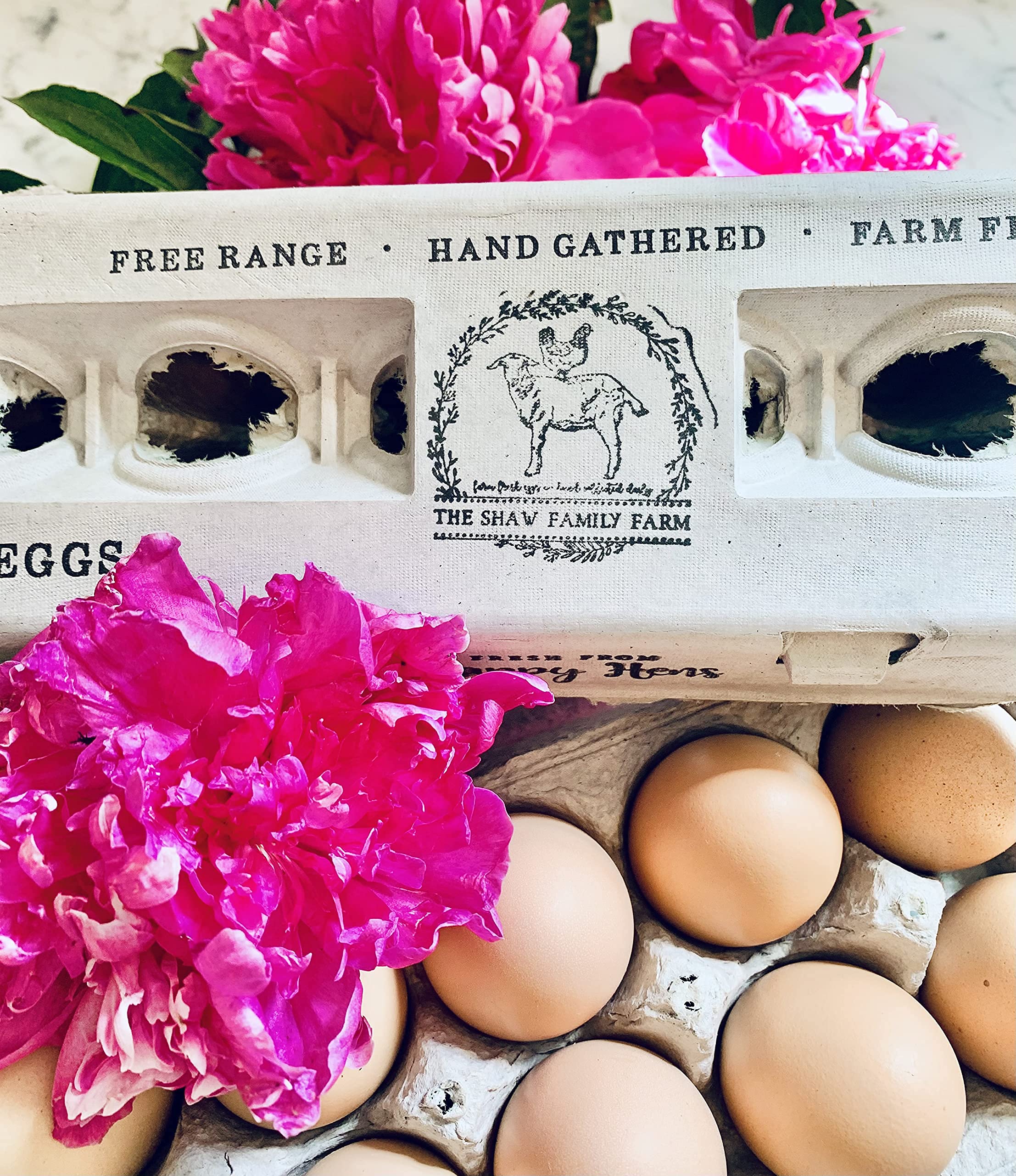Eco-Friendly Recycled Paper Egg Cartons - Holds 250 XL Chicken Eggs, Sturdy & Reusable with Adorable Printed Design for Farm Fresh Eggs | Perfect for Farmers Markets, Organic Egg Packaging & Sustainable Food Storage