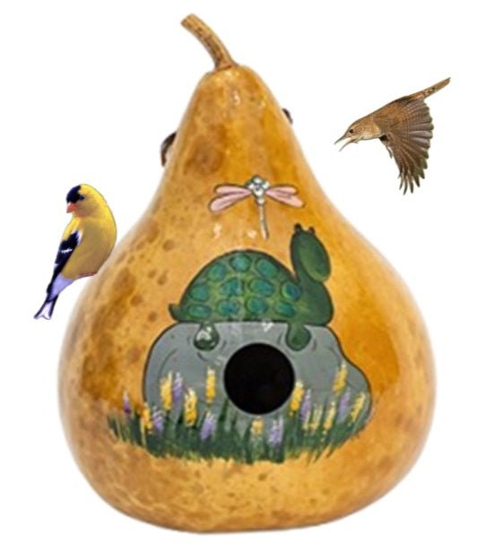 Hand-Painted Amish Gourd Birdhouse - Unique Turtle Design for Garden Decor | Perfect for Outdoor Bird Watching & Backyard Decoration