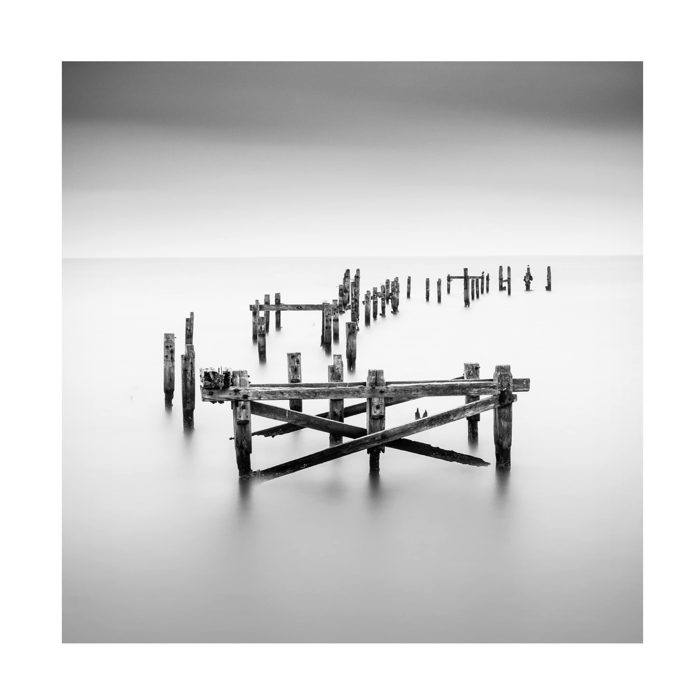 Standing Firmish Canvas Wall Art by Robert Bolton - Premium Handmade Painting for Living Room, Bedroom & Office Decor