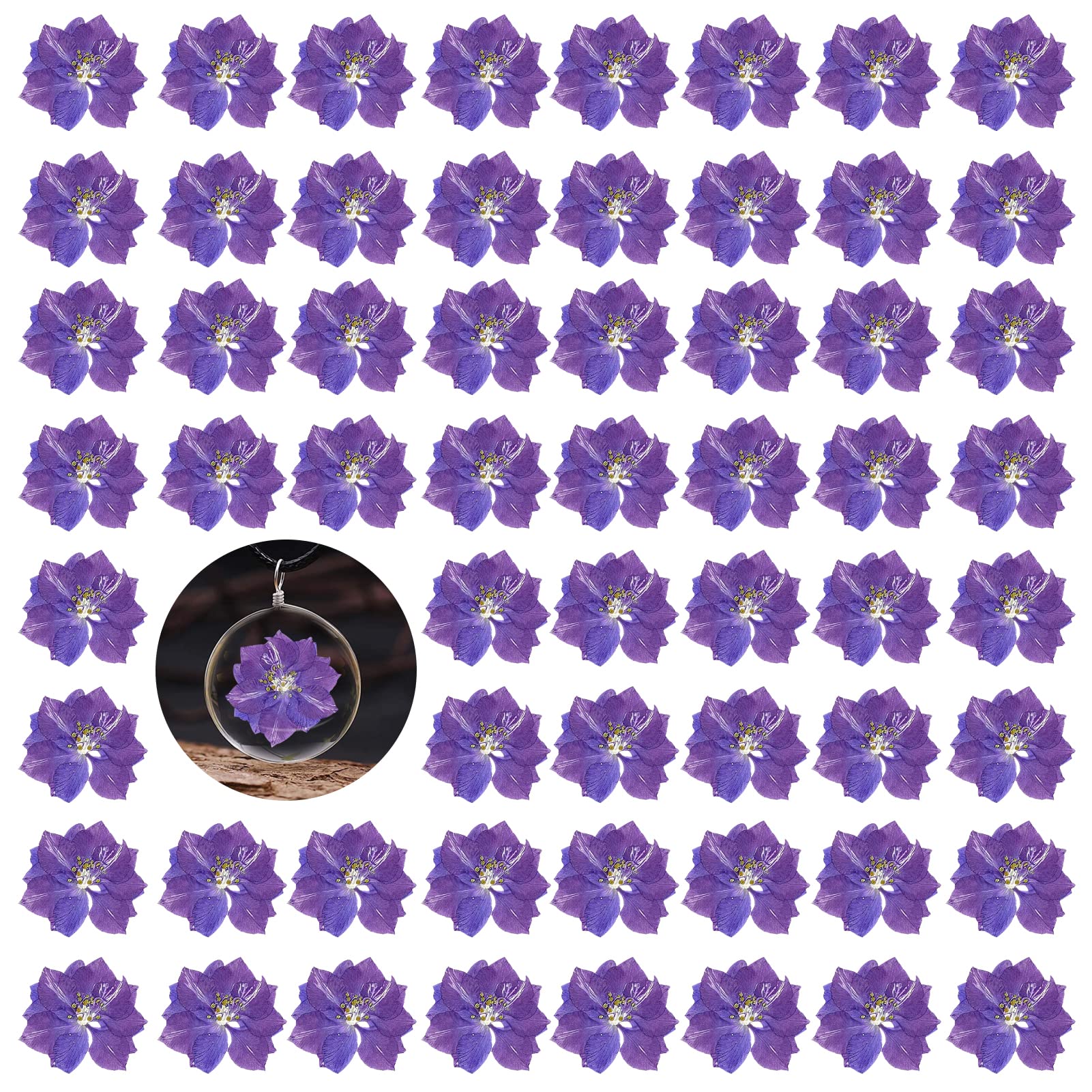60PCS Natural Purple Pressed Dried Larkspur Flowers (Delphinium) for Resin Art, DIY Crafts, Candle Making - Perfect for Home Decor, Wedding Bouquets & Scrapbooking Projects