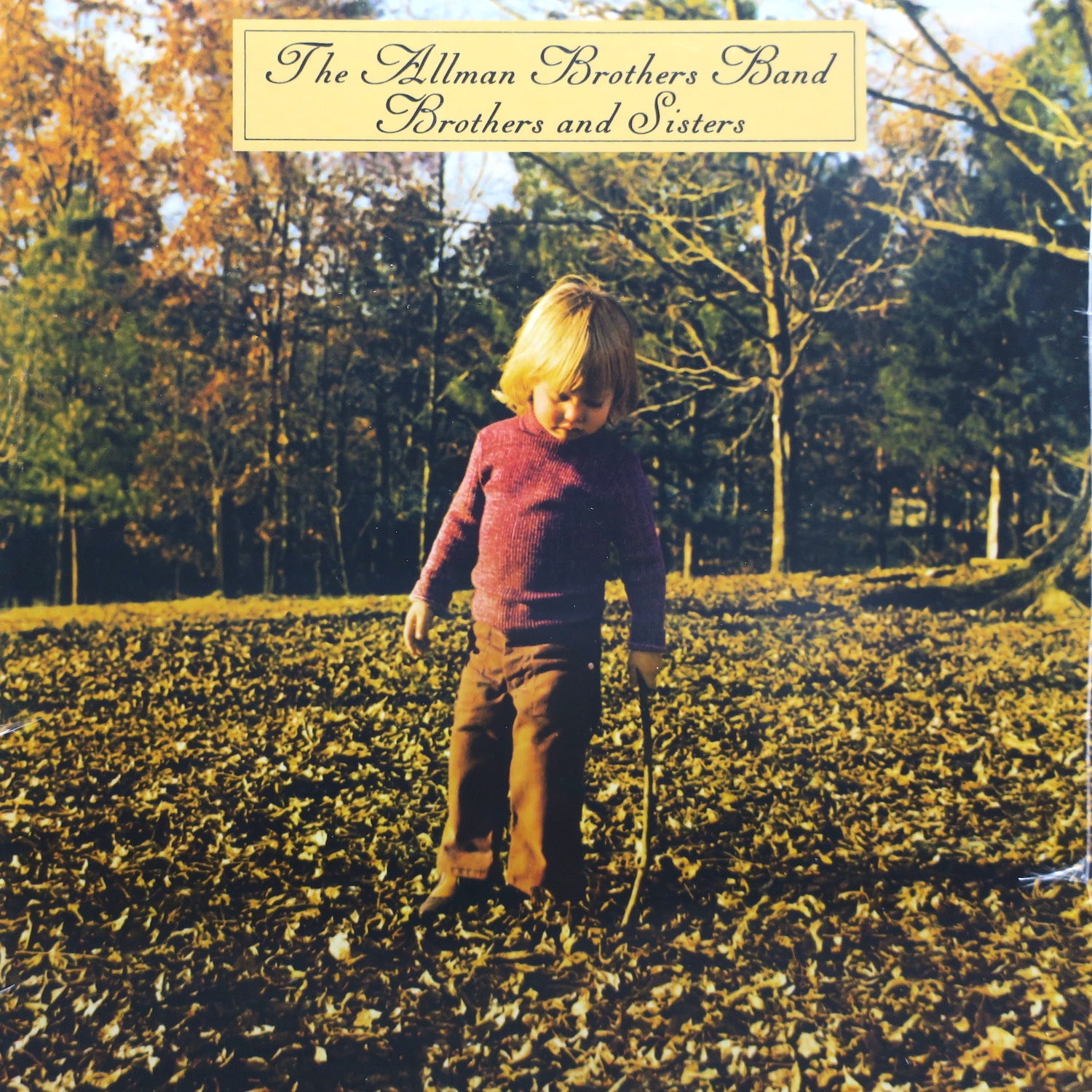 Allman Brothers Band 'Brothers And Sisters' Vinyl LP Record (1973 Classic Blues Rock Album) - Perfect for Vinyl Collectors & Music Enthusiasts