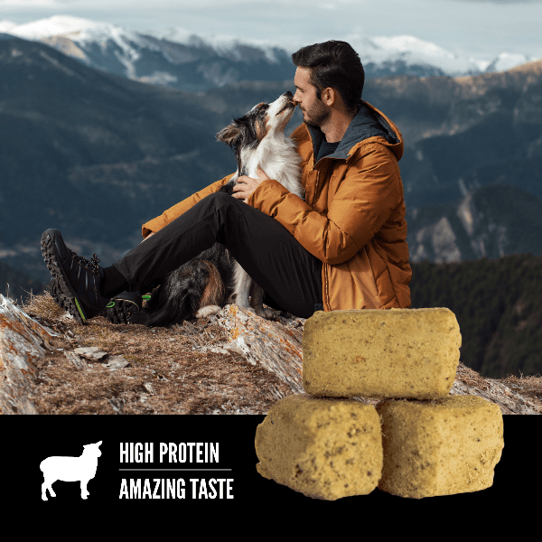 Orijen Freeze-Dried Lamb Dog Treats - High Protein, Grain-Free, Natural Training & Rewards for Dogs - Perfect for Training, Travel & Outdoor Adventures