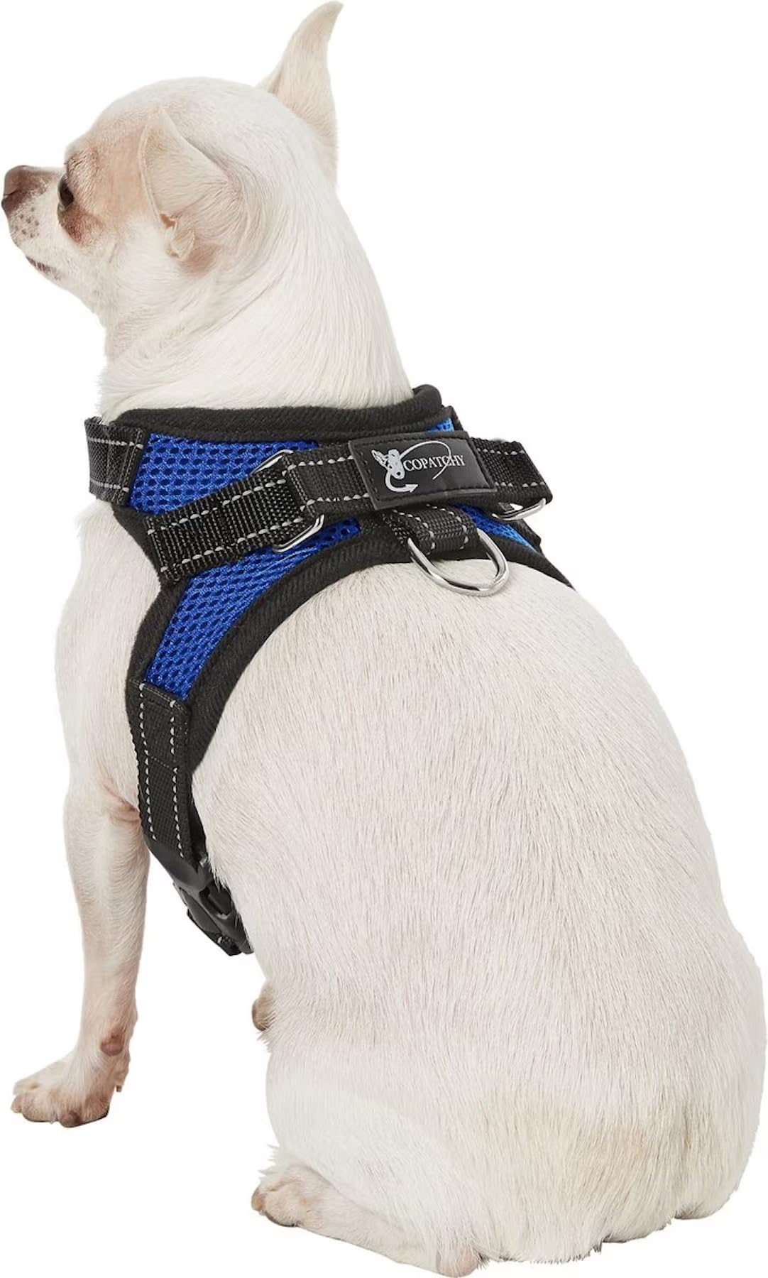 No Pull Reflective Adjustable Dog Harness with Handle - Comfortable Soft All-Weather Mesh Vest for Small Medium Large Dogs - Easy On Puppy Harness for Walking Running Hiking Training (Blue, X-Small)