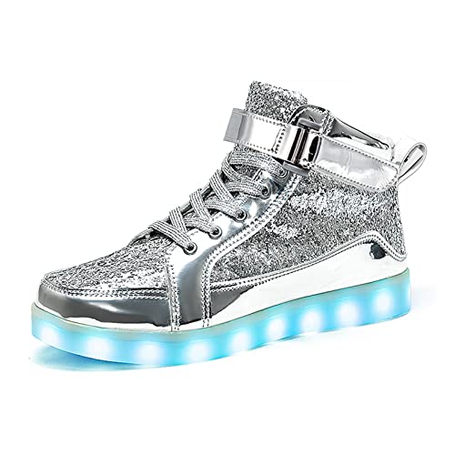 Glitter Silver