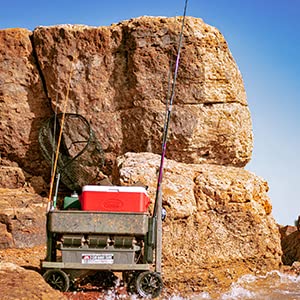 Mighty Max Cart Collapsible Outdoor Utility Wagon - Heavy Duty 250LB Capacity, All-Terrain Wheels with Rod Holders - Perfect for Gardening, Yard Work, Camping, Sports & Outdoor Recreation (Camo Design)