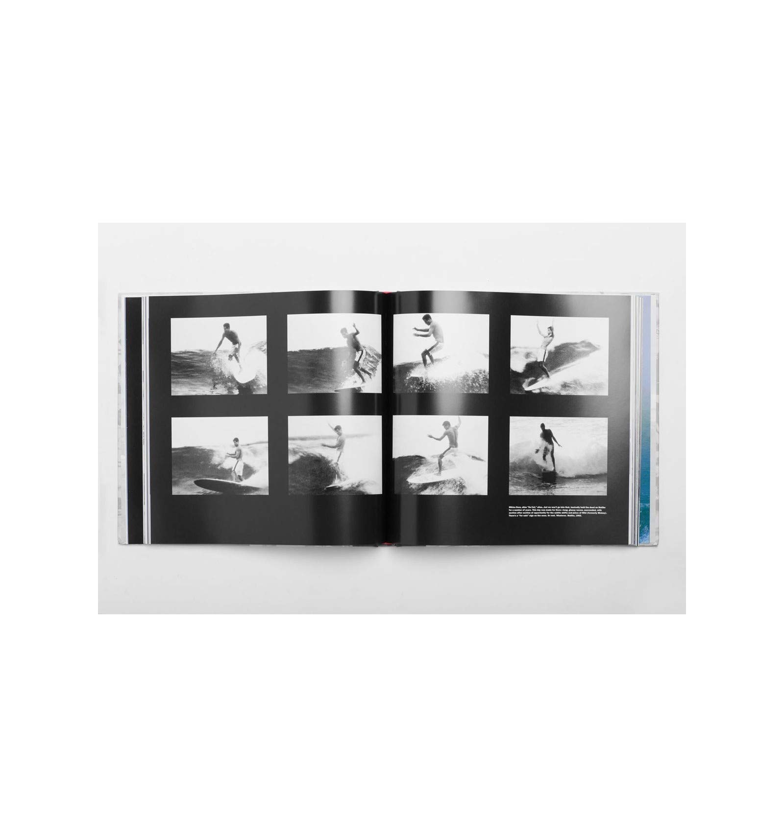 Unisex Adult Books - Multi-Colored Reading Collection for Men & Women - Perfect for Home Libraries, Gifts & Book Club Discussions