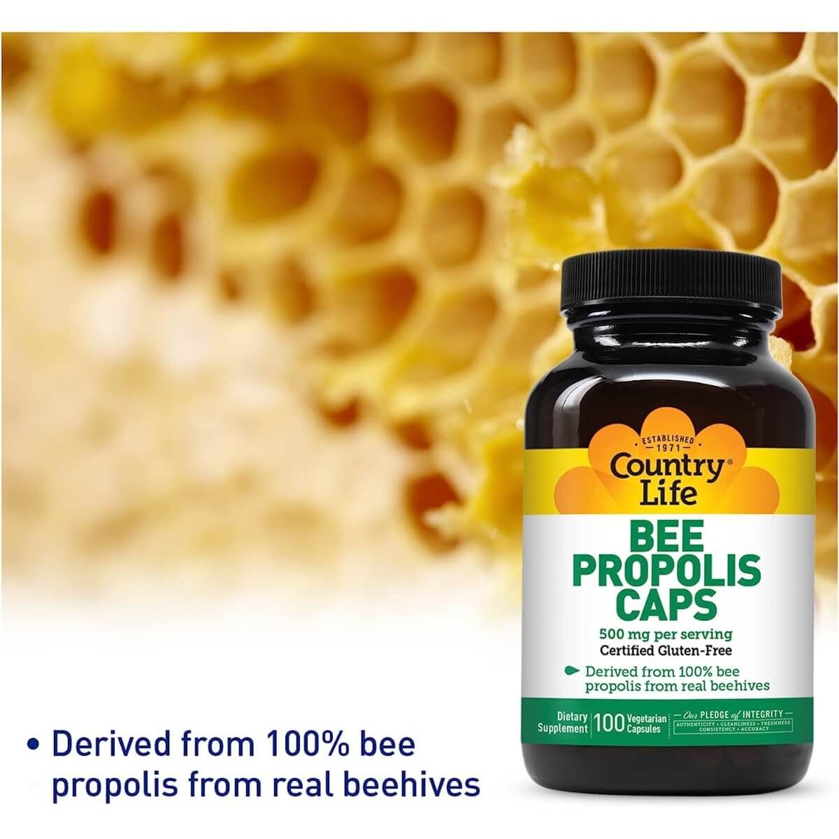 Country Life Bee Propolis 500mg - 100 Vegetarian Capsules | Natural Immune Support Supplement for Adults | Daily Wellness & Allergy Relief