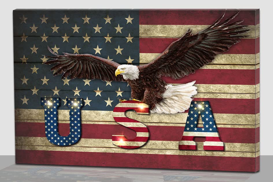 American Flag USA Eagle