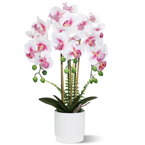 White and Pink 3 Stems