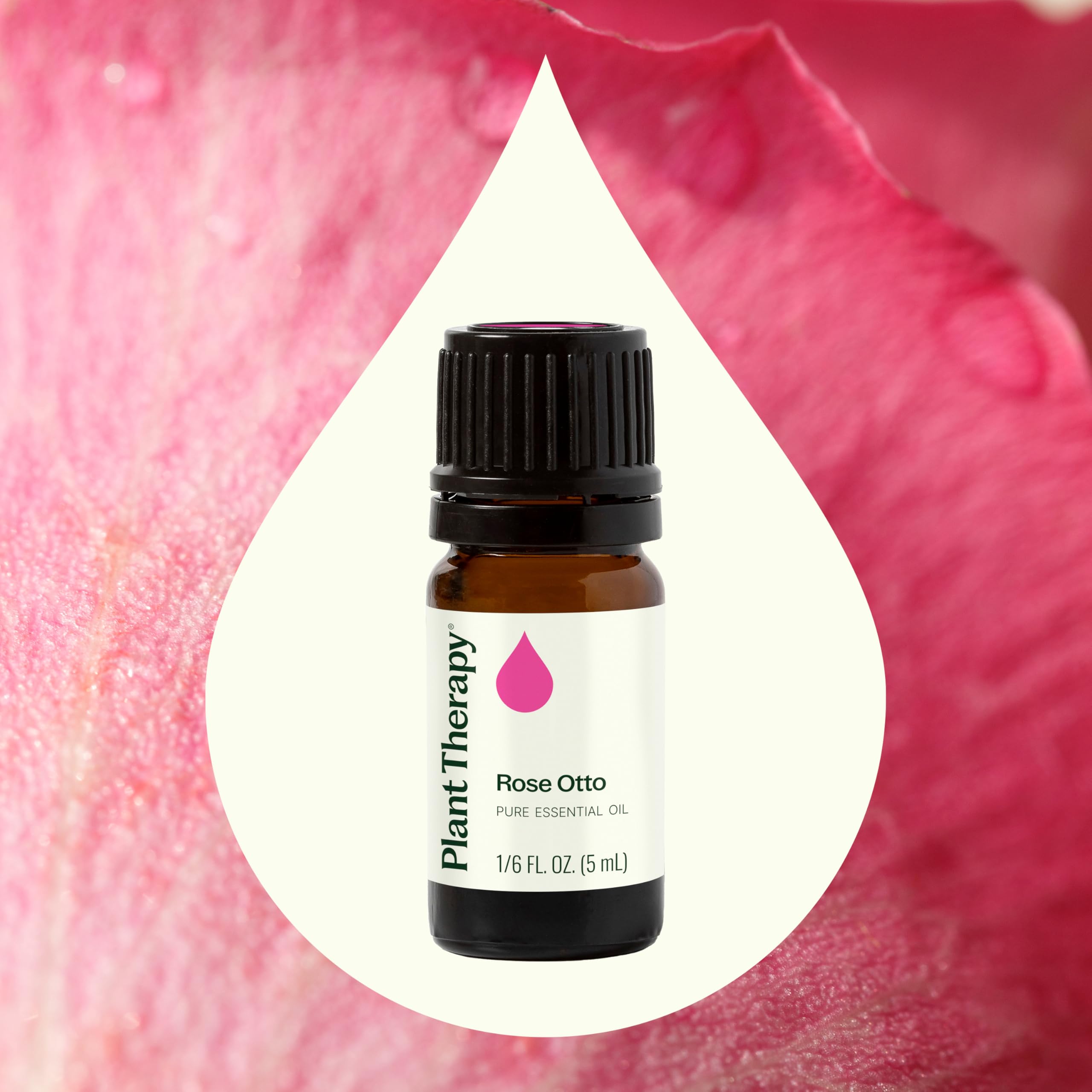 Plant Therapy Rose Otto Essential Oil 5 mL (1/6 oz) - 100% Pure, Undiluted, Therapeutic Grade for Aromatherapy, Massage & Skin Care | Natural Stress Relief & Emotional Balance