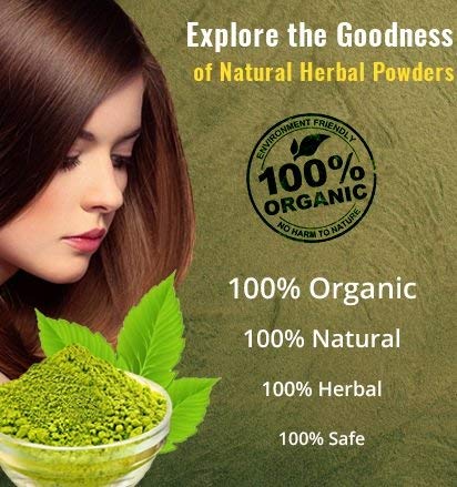 100% Pure Bhringraj Powder for Hair Growth & Strength - 600g | Natural Ayurvedic Herbal Remedy for Thicker, Healthier Hair | Perfect for DIY Hair Masks & Scalp Treatments