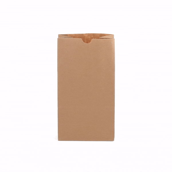 Premium Kraft Paper Bags 6 lb Capacity - 6 x 3.5 x 10.75 Inches - Pack of 100 | Eco-Friendly Shopping Bags for Retail, Grocery & Gift Packaging