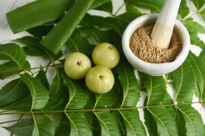 100% Pure Neem Powder for Hair & Skin Care - Organic, Chemical-Free Face Cleanser & Scalp Treatment (200g) | Promotes Healthy Hair Growth & Clear Skin - Perfect for DIY Beauty & Ayurvedic Remedies