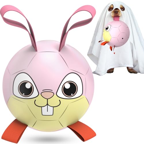 Pink-Rabbit