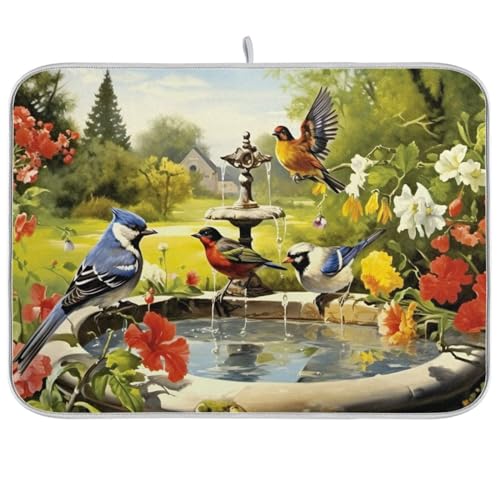 Bird Spring