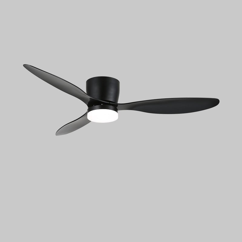 Model B Black