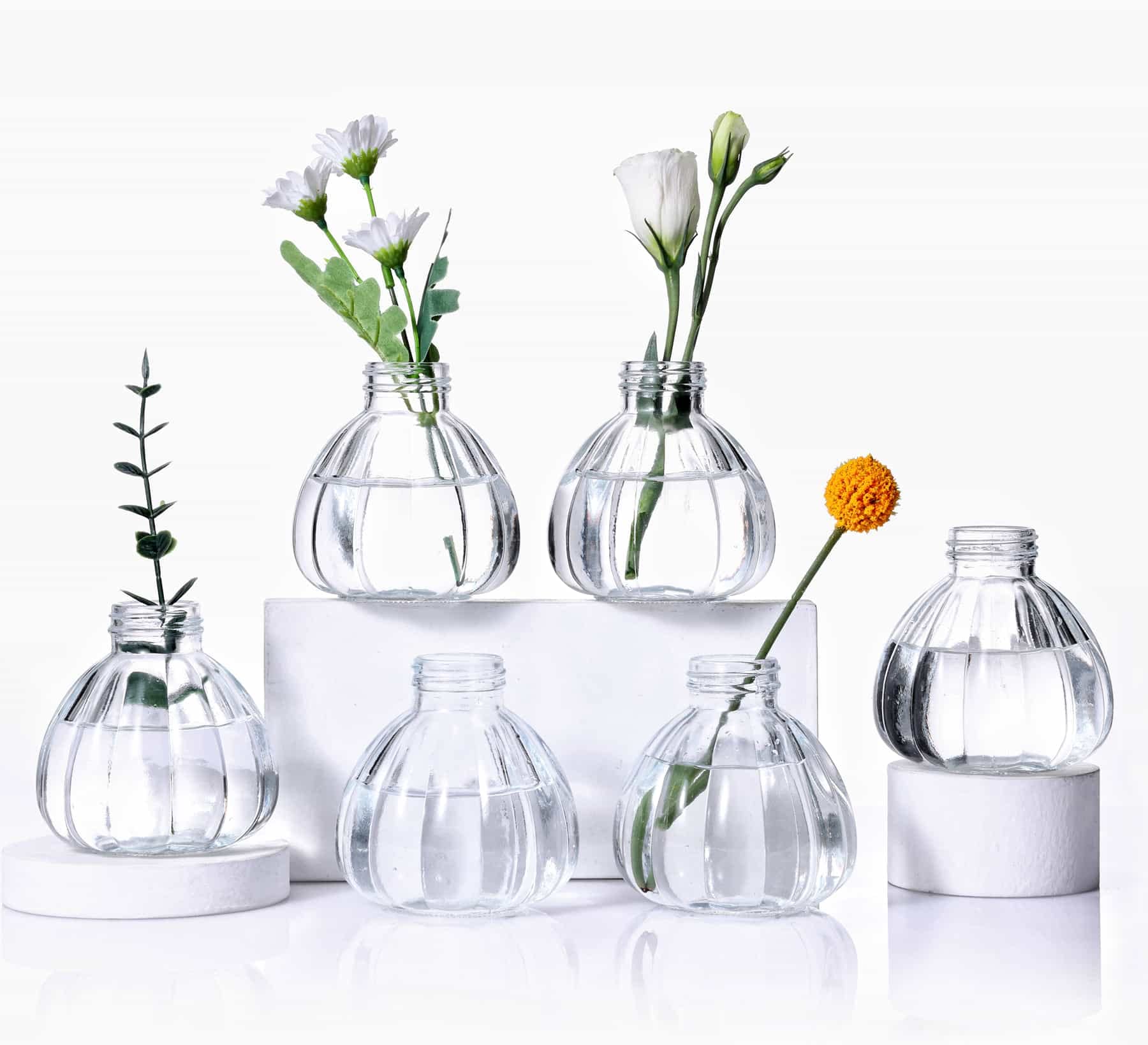 6-Piece Glass Bud Vase Set - Small Clear Flower Vases for Floral Arrangements, Rustic Home Decor Centerpieces - Perfect for Living Room, Office, Wedding & Event Decorations | Elegant Tabletop Display for Dining, Parties & Gift Giving