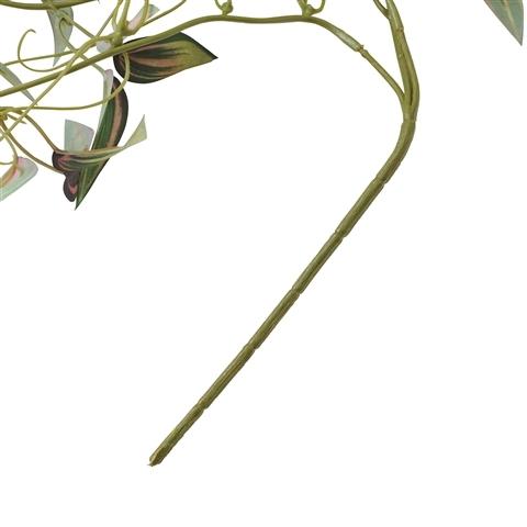 Pothos Pink Climbing Plant - Easy Care Indoor Hanging Vine for Home & Office Decor - Perfect for Shelves, Walls, and Balconies