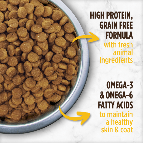 Nutrience Grain Free Turkey, Chicken & Herring Small Breed Dry Dog Food - Premium Protein Rich Kibble for Small Dogs - Perfect for Active Puppies & Adult Dogs at Home or Travel