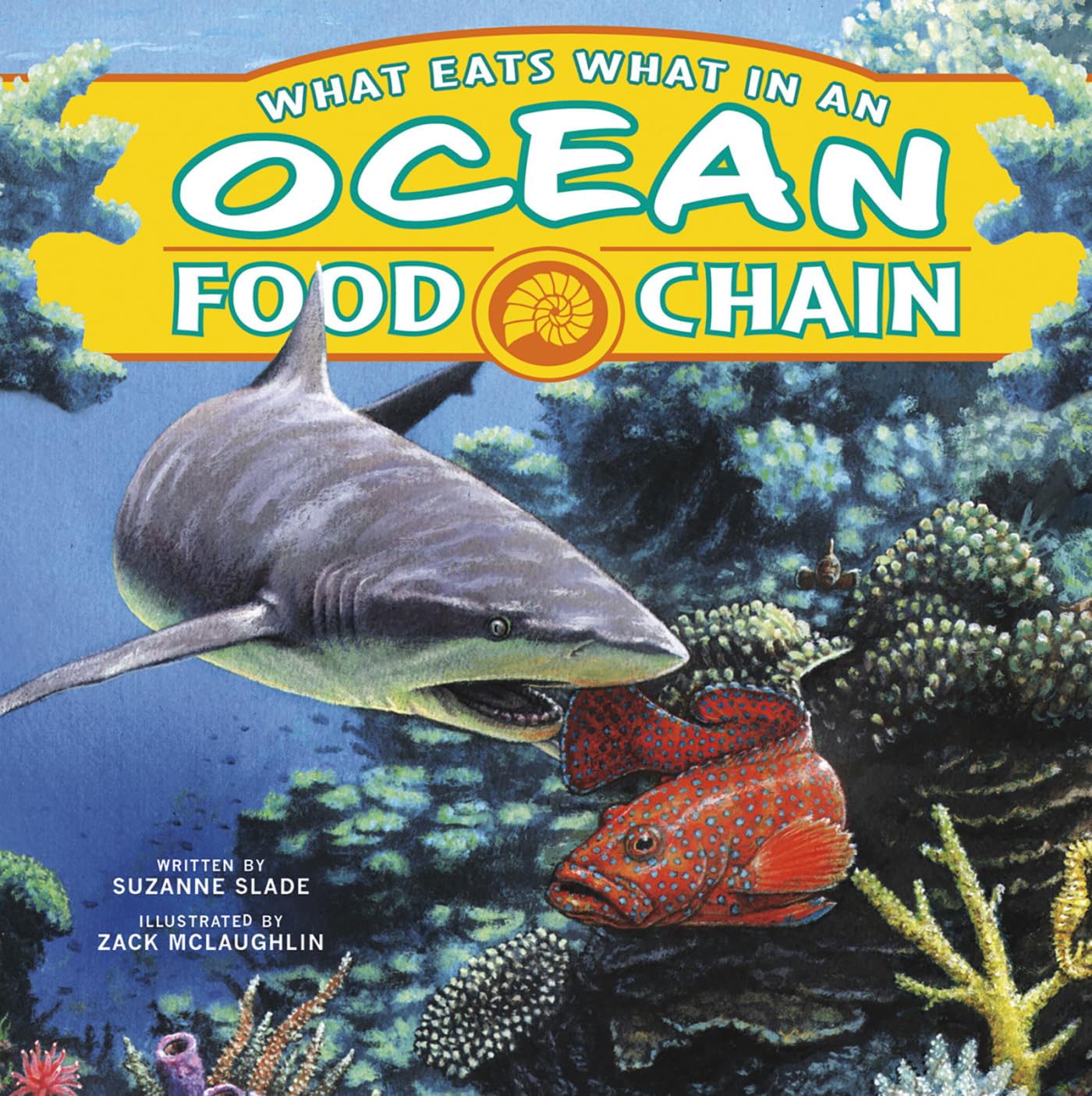 What Eats What in an Ocean Food Chain - Marine Ecosystem Food Web Explained | Perfect for Kids' Science Projects & Homeschool Learning