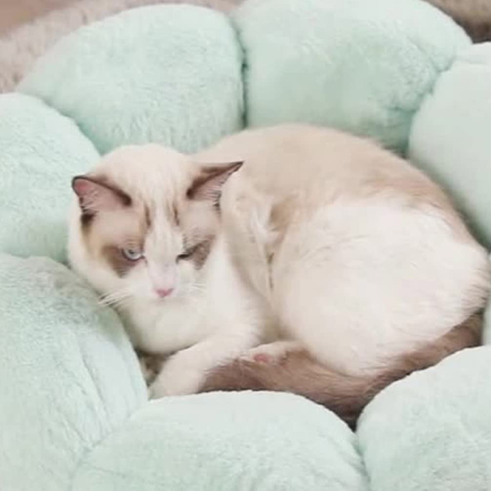 Cozy Plush Donut Pet Bed for Cats & Dogs - Warm Calming Anti-Anxiety Dog Bed & Flower Shape Cat Cushion in Green & White | Perfect for Anxiety Relief, Winter Warmth & Cozy Napping Spots