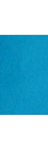 Premium 8.5 x 14 Cardstock Paper - 1000 Sheets Pool Blue for Scrapbooking, Invitations & Crafting | Heavyweight Paper for DIY Projects, Card Making & Office Use