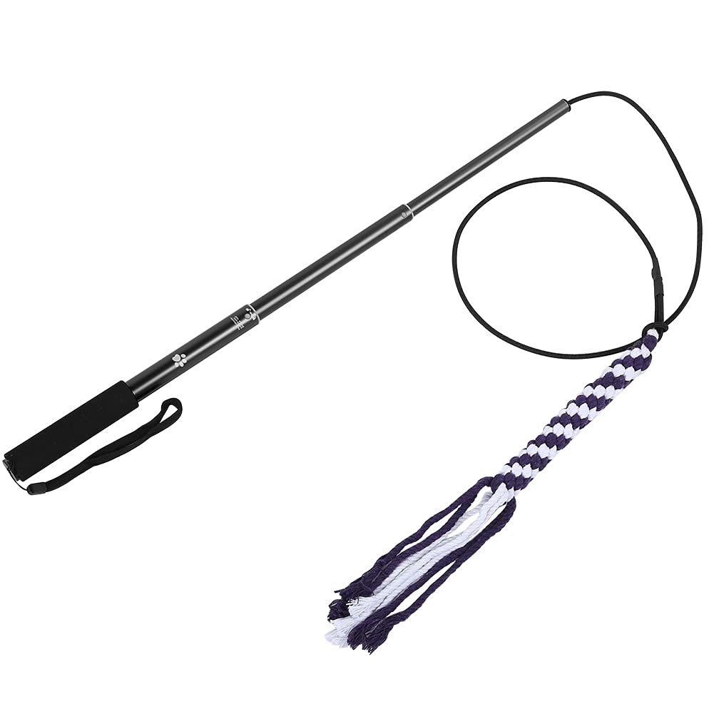 HEEPDD Funny Rod Interactive Cat Toy - Retractable Teaser Stick for Cats & Dogs - Training Play Toy for Indoor Pets - Perfect for Playtime & Exercise
