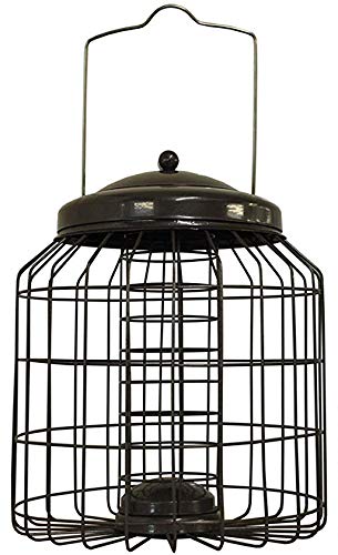 Premium Squirrel-Proof Suet Feeder Cage - Heavy Duty Metal Bird Feeder for Outdoor Use - Ideal for Backyards, Gardens, and Bird Watching Enthusiasts