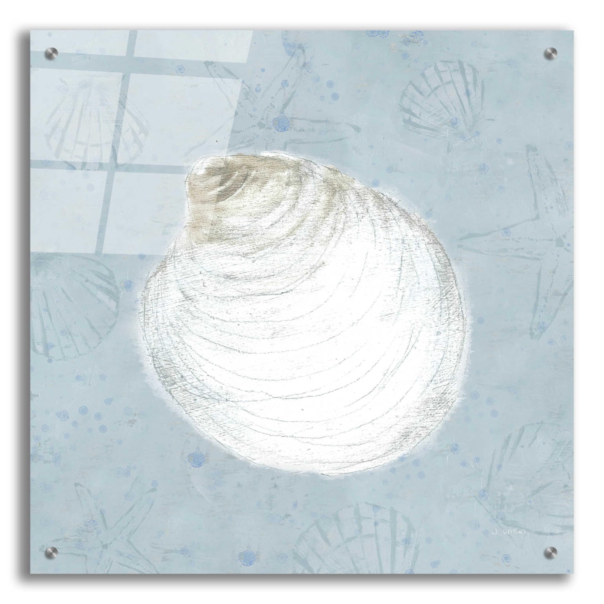 Serene Shells II by James Wiens - 24x24 Inch Acrylic Glass Wall Art Painting, Modern Coastal Home Decor for Living Room, Bedroom & Office