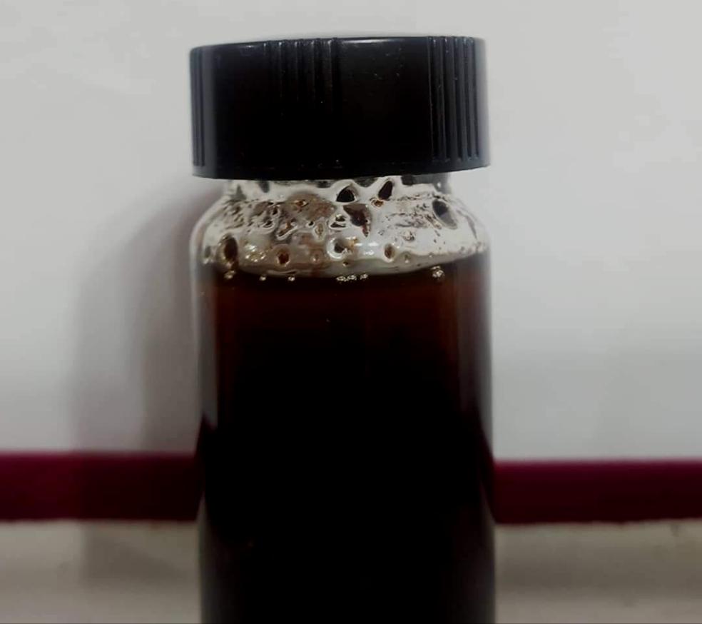 Authentic Wild Central Asian Kasturi Real Deer Musk Nafa Pheromones Attar Oil 3ML - Natural Perfume Oil for Men & Women, Romantic Dates & Special Occasions