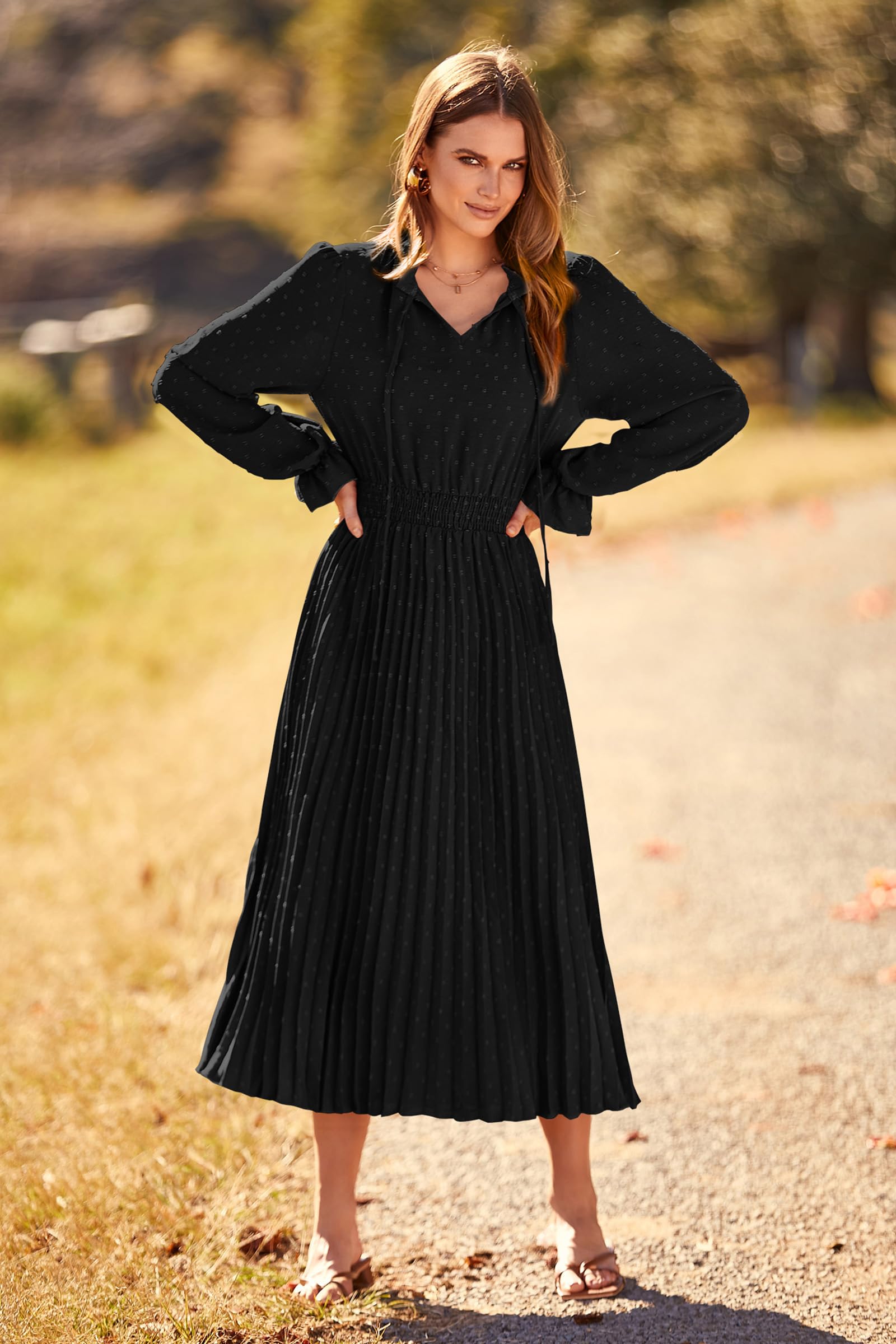 PRETTYGARDEN Women's 2025 Spring Fall Casual Midi Dress - Long Sleeve V-Neck Swiss Dot Pleated A-Line Flowy Dress for Work, Date Night & Special Occasions